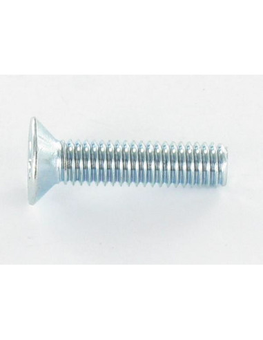 1 x Metalen schroeven gefreesde kop TORX T30...