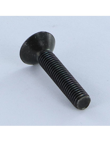 1 x Metalen schroeven gefreesde kop ongesplitst...