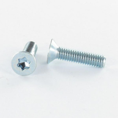 1 x Metalen schroeven gefreesde kop TORX T25 M5X16 Wit verzinkt staal