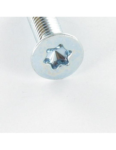 1 x Metalen schroeven gefreesde kop TORX T25...