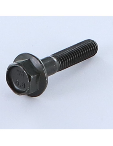 1 x Metalen schroeven zeskantkop TH M6X30...