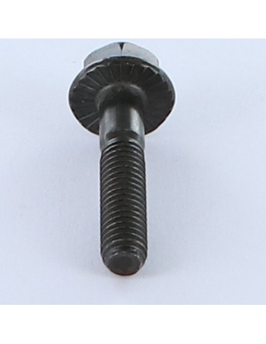 1 x Metalen schroeven zeskantkop TH M6X30...
