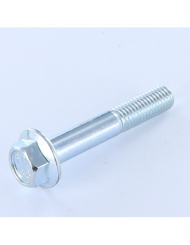 1 x Metalen schroeven zeskantkop TH M10X60...
