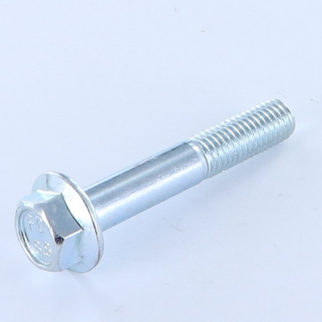 1 x Metalen schroeven zeskantkop TH M10X60 gedeeltelijke draad basis met kartelflens Klasse 8.8 Wit verzinkt staal