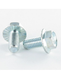 Metalen schroeven zeskantkop TH M5X30 basis met...