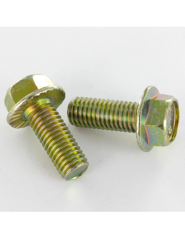 1 x Metalen schroeven zeskantkop TH M6X8 basis...