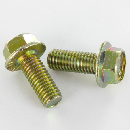 1 x Metalen schroeven zeskantkop TH M6X8 basis met kartelflens Klasse 8.8 Bichromaat