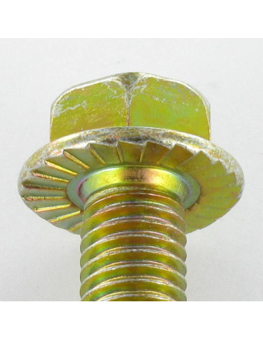 1 x Metalen schroeven zeskantkop TH M6X8 basis...