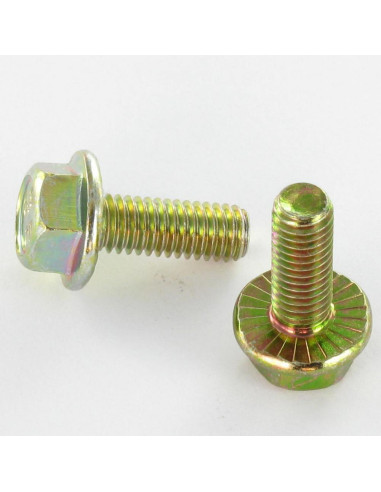1 x Metalen schroeven zeskantkop TH M6X8 basis...