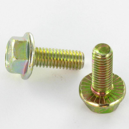 1 x Metalen schroeven zeskantkop TH M6X8 basis met kartelflens Klasse 8.8 Bichromaat