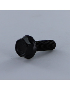 Metalen schroeven zeskantkop TH M8X25 basis met...