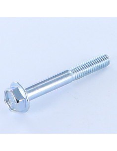 Metalen schroeven zeskantkop TH M6X45 gedeeltelijke draad...