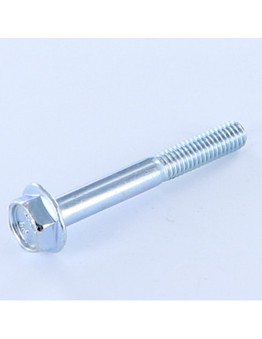 1 x Metalen schroeven zeskantkop TH M6X45...