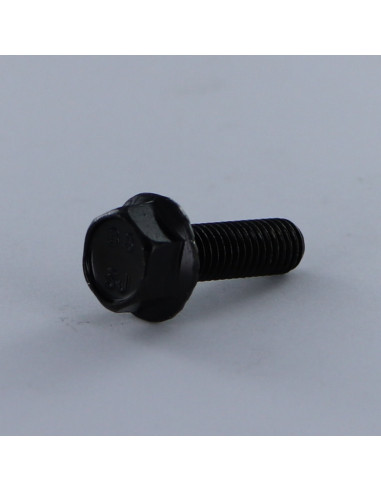 1 x Metalen schroeven zeskantkop TH M8X20 basis...
