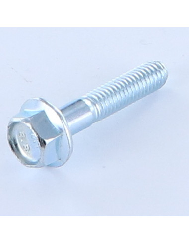 1 x Metalen schroeven zeskantkop TH M6X30...