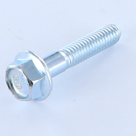 1 x Metalen schroeven zeskantkop TH M6X30 bedraad op 18 gedeeltelijke draad basis met kartelflens Klasse 8.8 Wit verzinkt