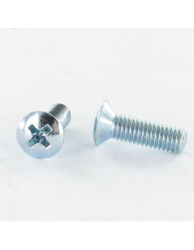 1 x Metalen schroeven gefreesde bolkop phillips...