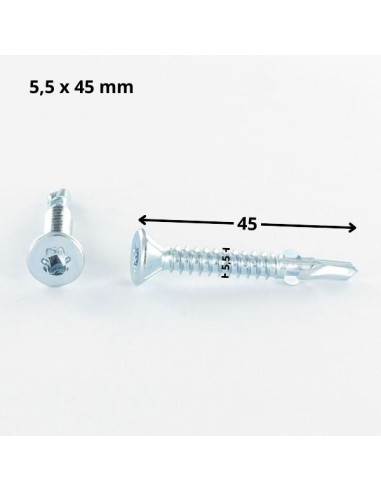 1 x Zelfborende schroef gefreesde kop TORX T30...