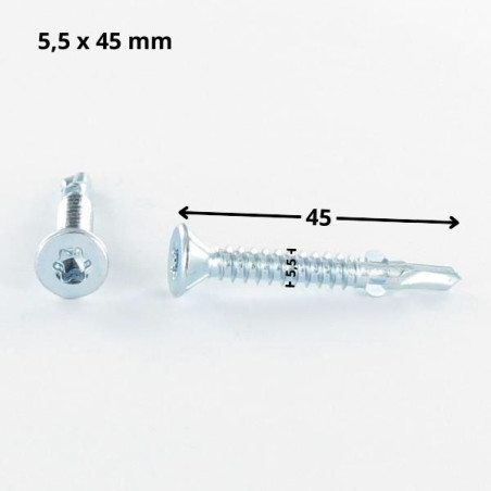 1 x Zelfborende schroef gefreesde kop TORX T30 5.5X45 gekarteld en gevleugeld Wit verzinkt staal