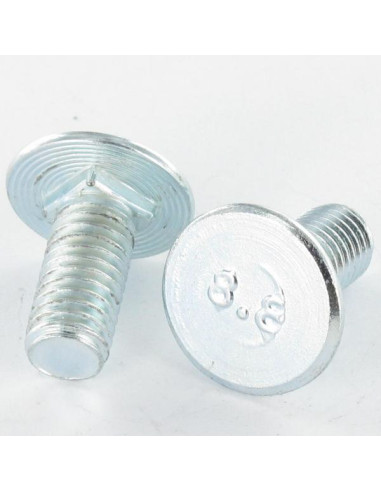 1 x Metalen schroeven plat M6X31.5/20 dikte kop...