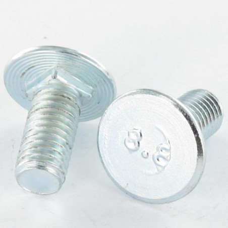 1 x Metalen schroeven plat M6X31.5/20 dikte kop 1 Wit verzinkt staal