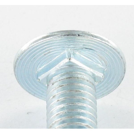 1 x Metalen schroeven plat M6X31.5/20 dikte kop 1 Wit verzinkt staal