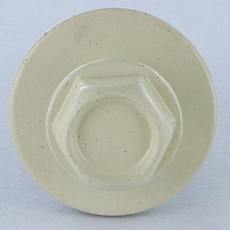 1 x Zelfborende schroef zeskantkop TH 5,5X25 Afdichtingsring met neopreen epdm afdichting Wit verzinkt staal RAL1015 licht