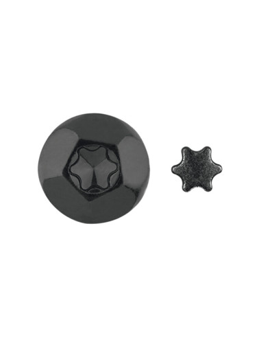 1 x ELEMENT ANTI-INBRAAKBEVEILIGING TORX T40...