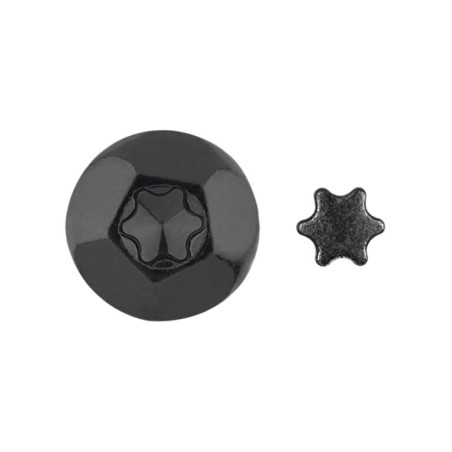 1 x ELEMENT ANTI-INBRAAKBEVEILIGING TORX T40 Zwart gegalvaniseerd staal