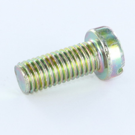 1 x Metalen schroeven cilindrische kop split M5X6 Bichromaat