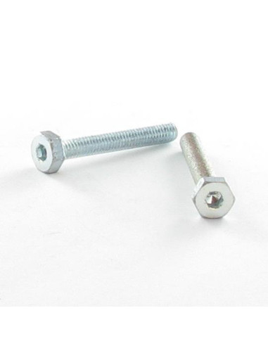 1 x Metalen schroeven zeskantkop TH + sleutel...