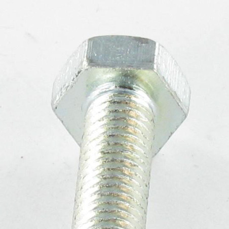 1 x Metalen schroeven zeskantkop TH + sleutel van 4 M6X35 Wit verzinkt staal