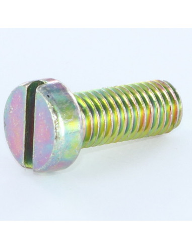 1 x Metalen schroeven cilindrische kop split...