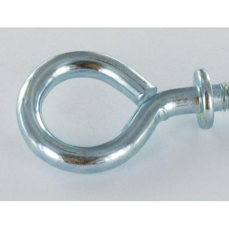 1 x Oogschroef metalen met kraag 6X60 Wit verzinkt staal