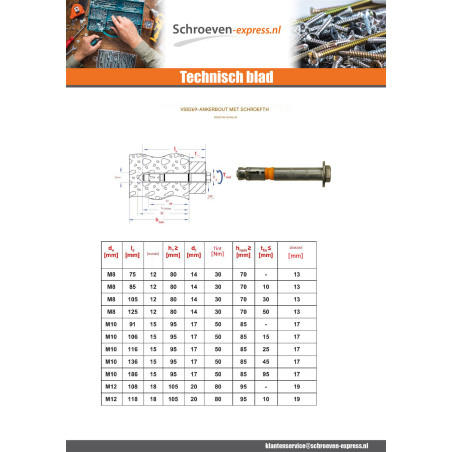1 x Bout (verkocht met moer) Verankering M8X105 met Metalen schroeven zeskantkop TH A4 RVS