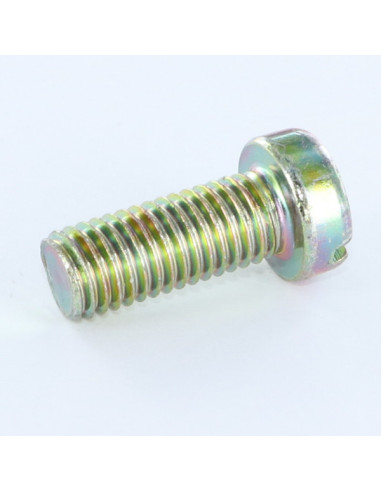 1 x Metalen schroeven cilindrische kop split...