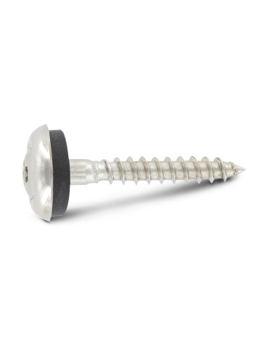 1 x Nokschroef gefreesde bolkop TORX T20 RVS A2...