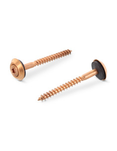 Nokschroef gefreesde bolkop TORX T20 RVS A2 koper 4,5X45...