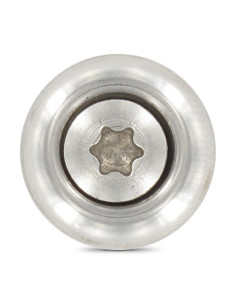 Nokschroef gefreesde bolkop TORX T20 RVS A2 4,5X35... 2