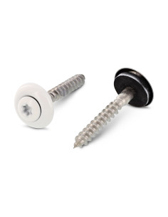 Nokschroef gefreesde bolkop TORX T20 RVS A2 RAL9010...
