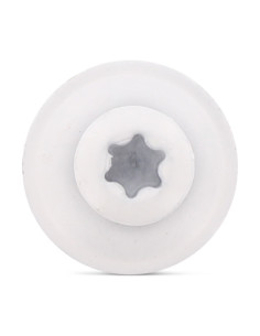 Nokschroef gefreesde bolkop TORX T20 RVS A2 RAL9010... 2