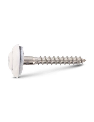 1 x Nokschroef gefreesde bolkop TORX T20 RVS A2...