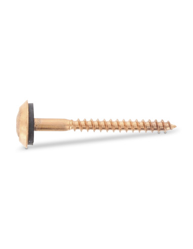 1 x Nokschroef gefreesde bolkop TORX T20 RVS A2...