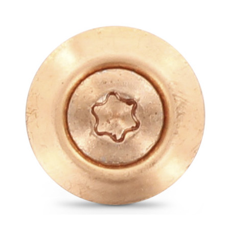 1 x Nokschroef gefreesde bolkop TORX T20 RVS A2 koper 5X200 Afdichtingsring met neopreen epdm afdichting 3P
