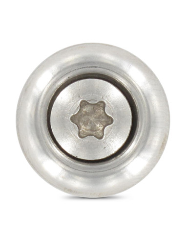 1 x Nokschroef gefreesde bolkop TORX T20 RVS A2...