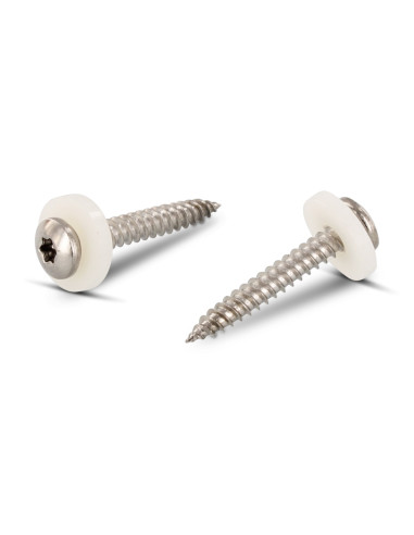 1 x Metaalplaatschroef cilindrische kop TORX...
