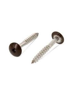 Gevelschroef TORX T20 4.8X38 kopdiameter 12.3 RVS A2...