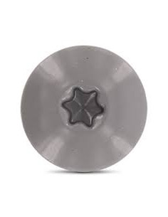 Gevelschroef TORX T20 4.8X38 kopdiameter 12.3 RVS A2 RAL7037 2