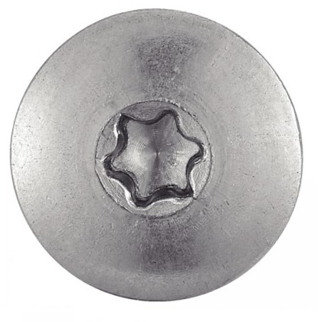 1 x Gevelschroef TORX T20 5,5X60 kopdiameter 12.3 RVS A2