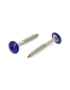 Gevelschroef TORX T20 4.8X38 kopdiameter 12.3 RVS A2 RAL5002